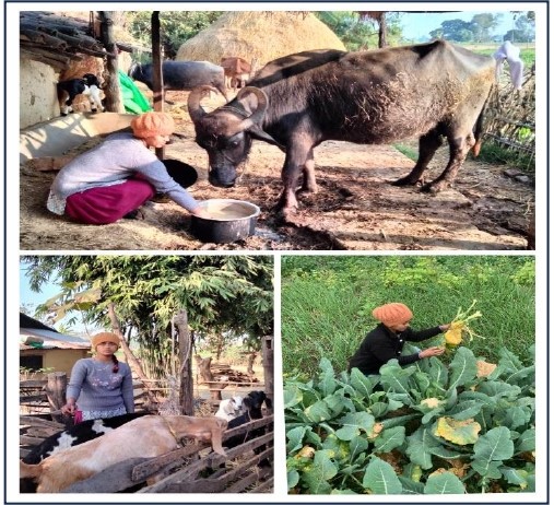 सफलताको कथा : सरस्वती कुमारी थारु (मैनापोखर शाखा बर्दिया)