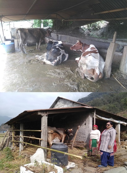 आईत सुवा बि.क.को सफलताको कथा, शाखा कार्यालय लाहाचोक,कास्की