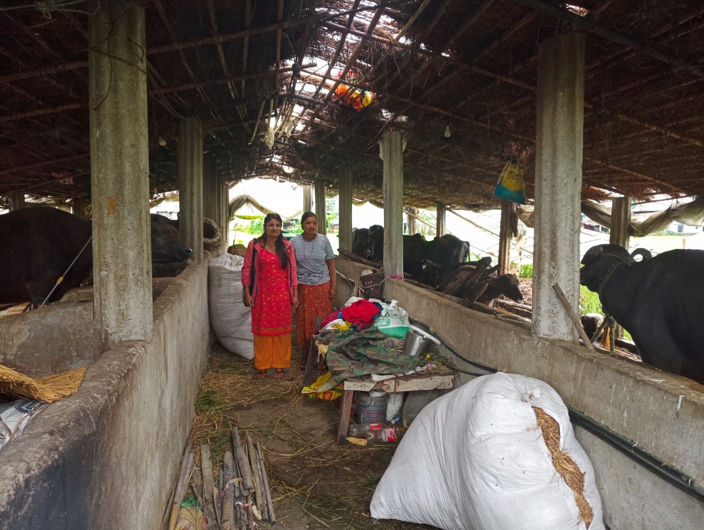 सिता वि.क. को सफलताको कथा(पामे शाखा)